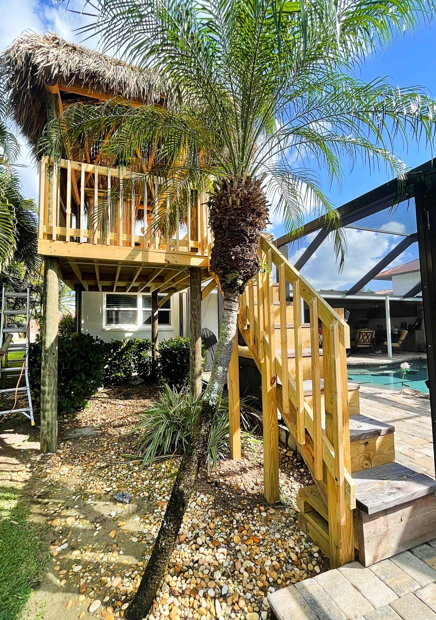 Tiki bar tree house with stairs leading up