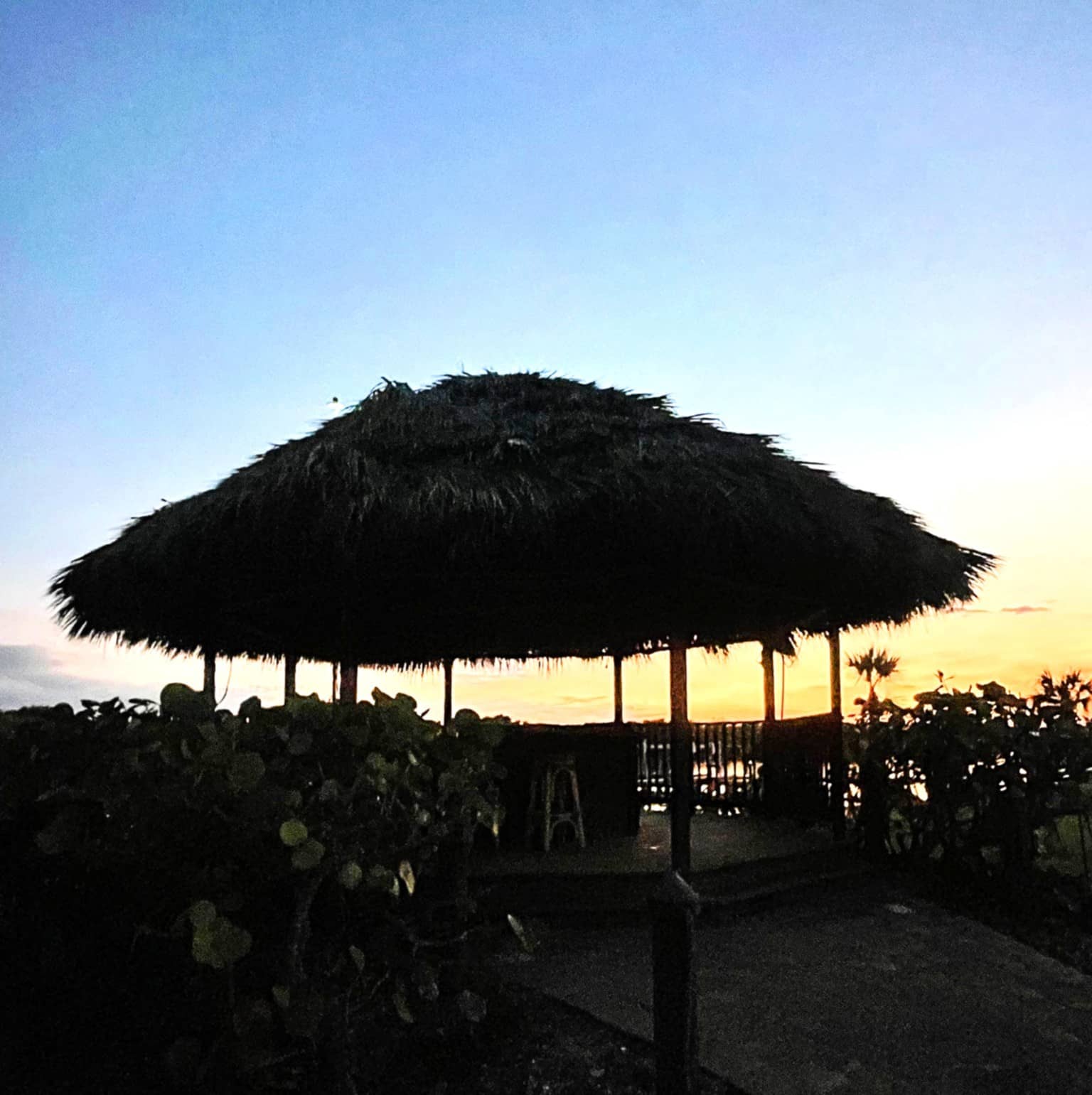 Tiki backlit by the sunrise